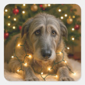 Irish Wolfhound Tangled In Holiday Lights スクエアシール (正面)
