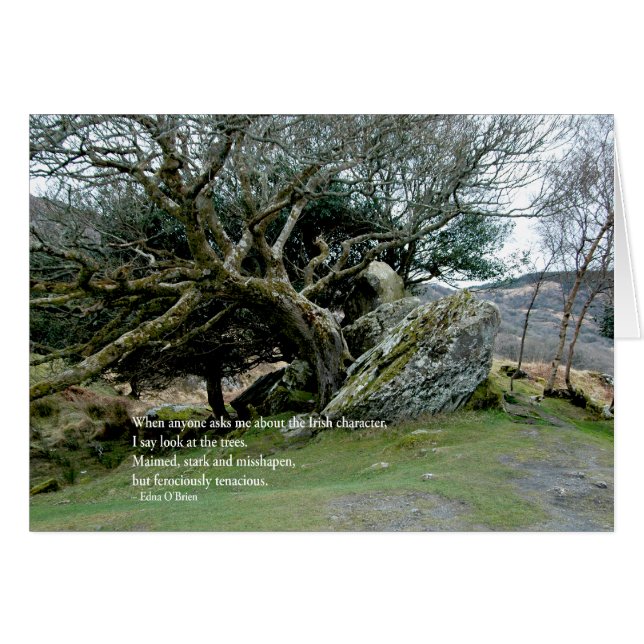 IrishTrees (正面横)