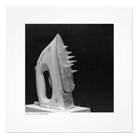 IRONY  フォトプリント            (正面)