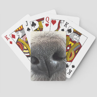 irresistible + puppy + nose + playing + cards トランプ