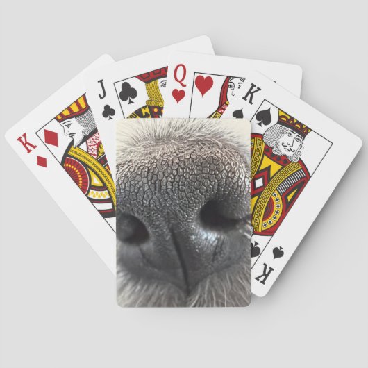 irresistible + puppy + nose + playing + cards トランプ (裏面)