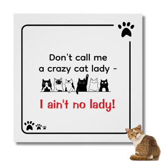 Irreverent Humor Crazy Cat Lady  ポスター