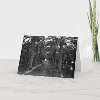 Irrigation 1966年の間のナツメヤシ果樹園 カード