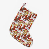 IRSリいけなスト休日 スモールクリスマスストッキング (正面 (吊り時))