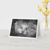 I's You 恋しく思 Greeting Card - B&W子猫 カード (黄色い花)