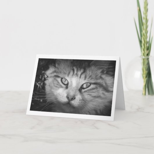 I's You 恋しく思 Greeting Card - B&W子猫 カード (正面)