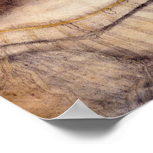 Isabella ポスター (角)