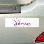 isi rider バンパーステッカー (車上)