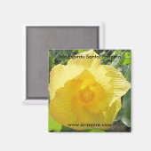 Isla Espiritu Santo、Islas Perlas、パナマ マグネット (正面/裏面)