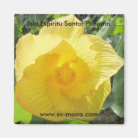 Isla Espiritu Santo、Islas Perlas、パナマ マグネット (正面)