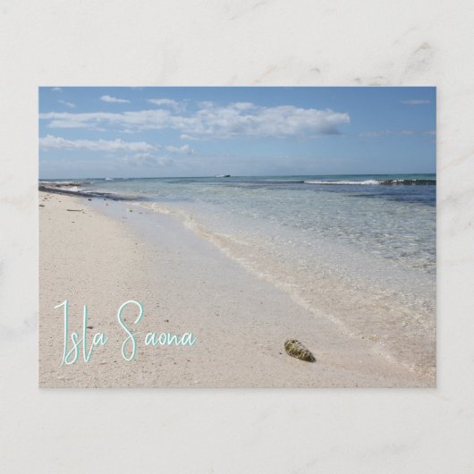 Isla Saona - Seashellとのカリブのビーチ ポストカード (正面)