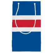 Island Flagge スモールペーパーバッグ (正面)