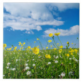 island of South Uist | Scotland タイル (正面)