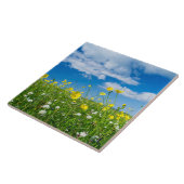 island of South Uist | Scotland タイル (側面)