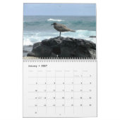 Islands of Galapagos カレンダー (1月 2027)
