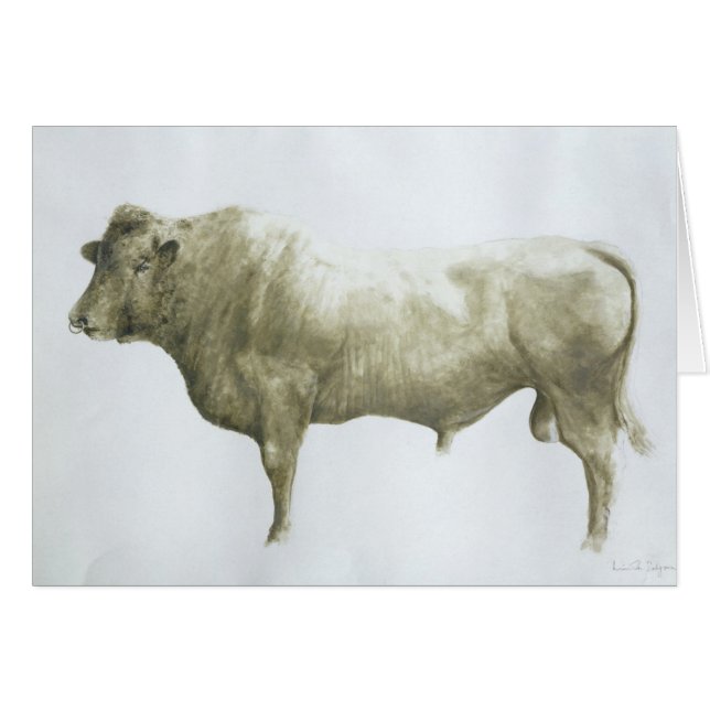 Islay Bull 2004年 (正面横)