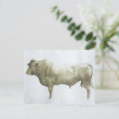 Islay Bull 2004 ポストカード (スタンド正面)