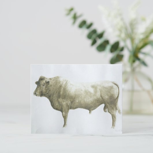 Islay Bull 2004 ポストカード (スタンド正面)