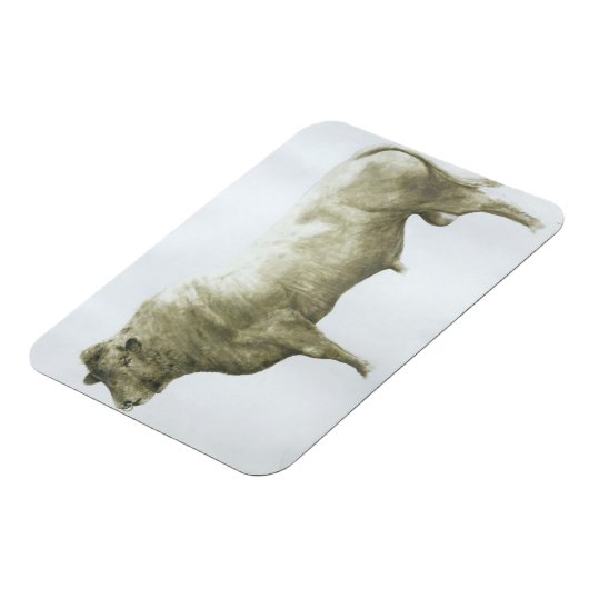 Islay Bull 2004 マグネット (左側)