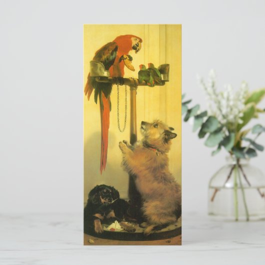 Islay, Tilco, Macaw and Love Birds by Landseer (スタンド正面)