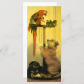 Islay, Tilco, Macaw and Love Birds by Landseer (正面/裏面)