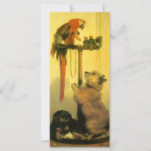 Islay, Tilco, Macaw and Love Birds by Landseer (正面)