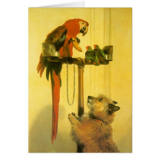 Islay, Tilco, Macaw and Love Birds by Landseer (正面)