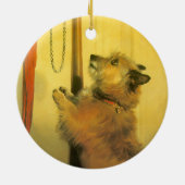 Islay, Tilco, Macaw and Love Birds by Landseer セラミックオーナメント (裏面)