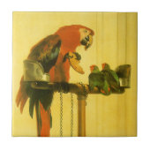 Islay, Tilco, Macaw and Love Birds by Landseer タイル (正面)