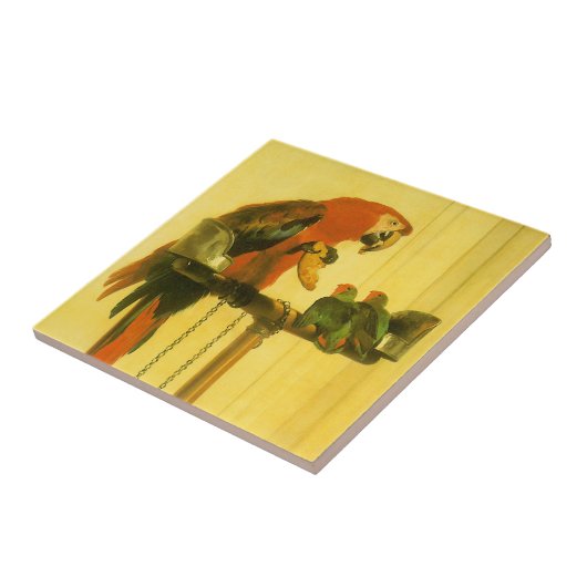 Islay, Tilco, Macaw and Love Birds by Landseer タイル (側面)