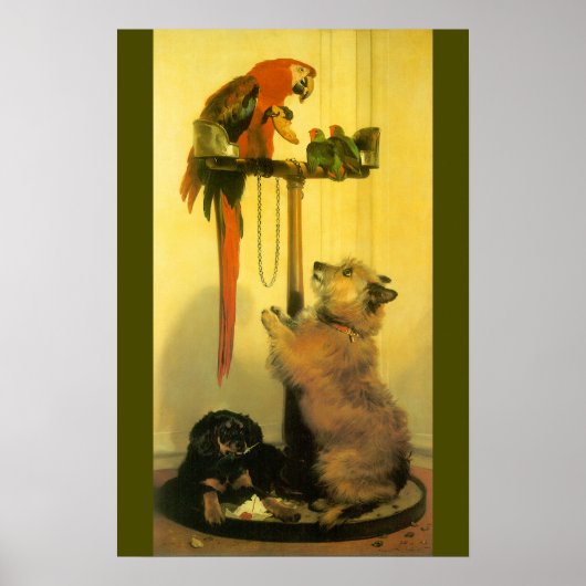 Islay, Tilco, Macaw and Love Birds by Landseer ポスター (正面)
