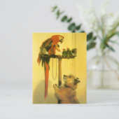 Islay, Tilco, Macaw and Love Birds by Landseer ポストカード (スタンド正面)