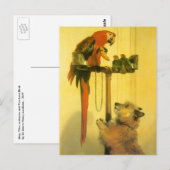 Islay, Tilco, Macaw and Love Birds by Landseer ポストカード (正面/裏面)