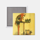 Islay, Tilco, Macaw and Love Birds by Landseer マグネット (正面/裏面)