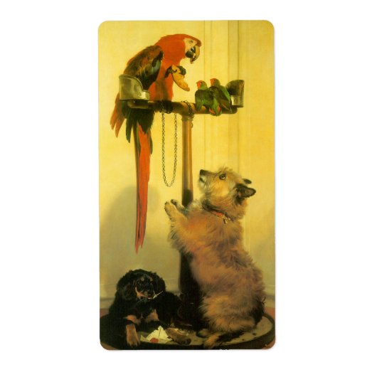 Islay, Tilco, Macaw and Love Birds by Landseer ラベル (正面)