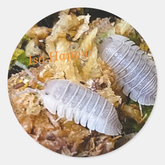 Iso Happyスタンプ ラウンドシール (正面)