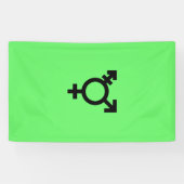Israeli Transgender Pride Flag  横断幕 (横)