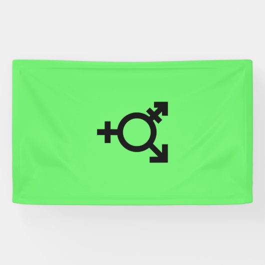 Israeli Transgender Pride Flag  横断幕 (横)