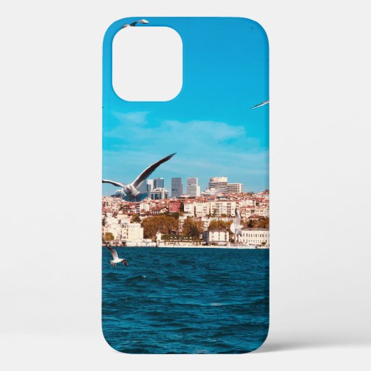 Istanbul view with seagulls on a warm sunny day, B Case-Mate iPhoneケース (裏面)