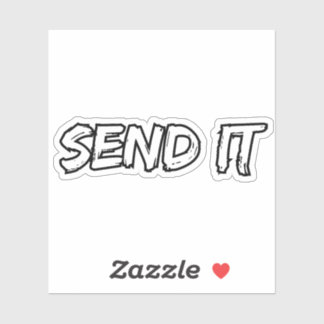 Itディスクゴルフシールを送信 シール