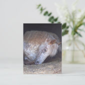 It簡単 ポストカード (スタンド正面)