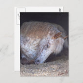 It簡単 ポストカード (正面/裏面)