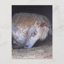 It簡単 ポストカード