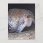 It簡単 ポストカード (正面)