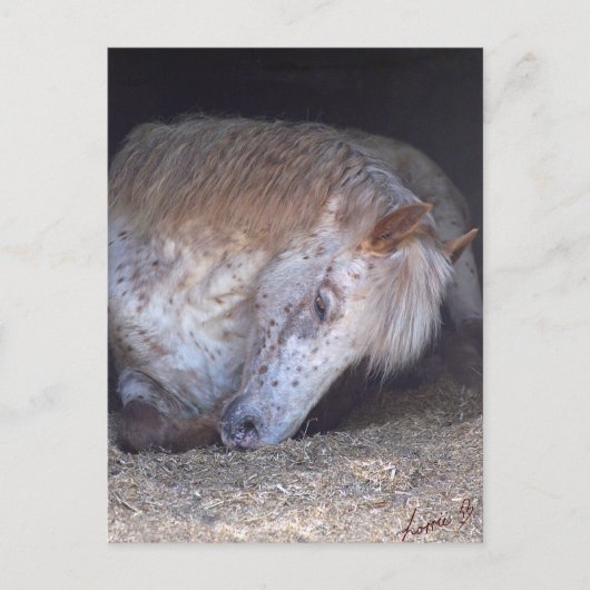 It簡単 ポストカード (正面)