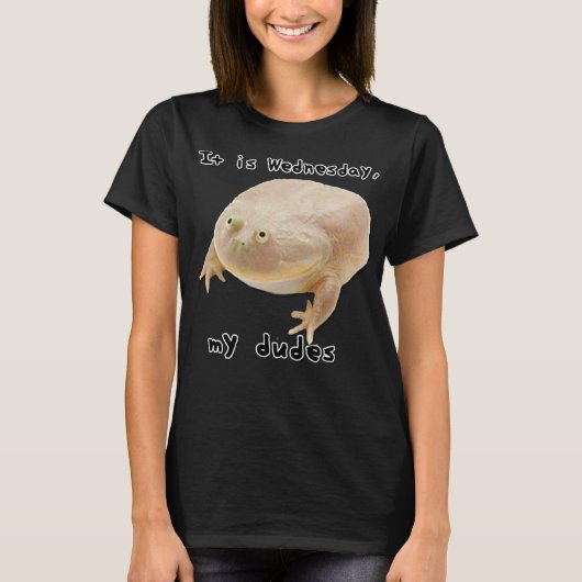 It is Wednesday My Dudes Funny Classic Frog Meme O Tシャツ (正面)