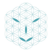 it Logo 01, Cyan/Red