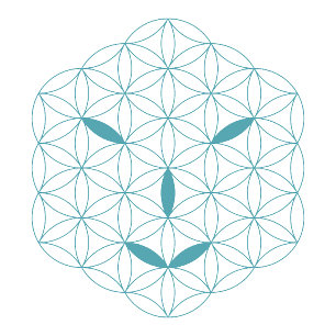 it Logo 01, Cyan/Red キャップ