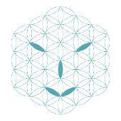 it Logo 01, Cyan/Red キャップ