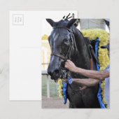 It Tiz Well, Cotilion Winner ポストカード (正面/裏面)